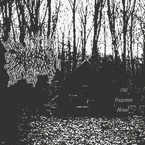 Evilness Darkness : Old Forgotten House